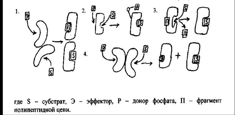 схема.jpg схема.jpg